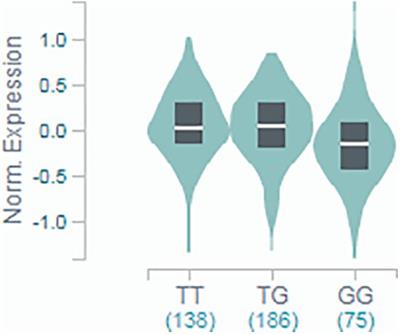 Polymorphism in INSR Locus Modifies Risk of Atrial Fibrillation in Patients on Thyroid Hormone Replacement Therapy